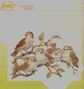 Pako 238.212 - Birds