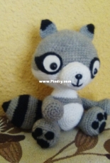 Raccoon
