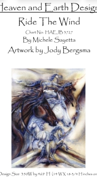 HAED HAEJB 3727 Ride The Wind by Jody Bergsma SAGA