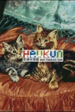 Haukun A-148 Cosy Family