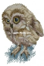 Owlet by Inna Peshkova