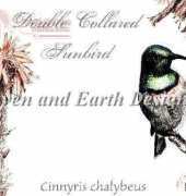 HAEMMB 54 Double Collared Sunbird