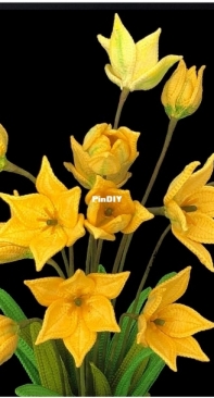 Natagor Finlayson - Wild Tulip