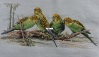 Country Threads FJ-1022 - Budgie Buddies PCS