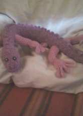 Gecko