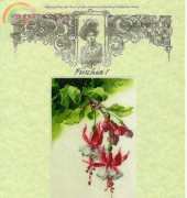 Dimple design -  Fuschia 1