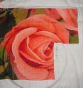 GK 450 Rose