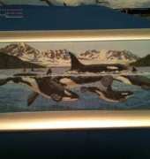 Whales