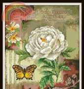 DOME 100111 Gold Bunny Rose