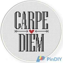 Daily Cross Stitch - Carpe Diem