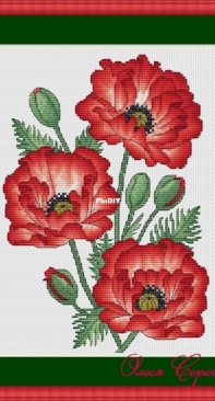 Scarlet poppies by Olesya Seregina / Олеся Серегина
