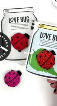 PRINTABLE + PATTERN Love Bug Display Cards + Ladybug Crochet Pattern - the knotty boss
