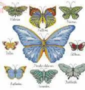 Le idee di Susanna Butterfly Panel #1