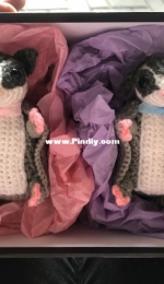 Sugargliders