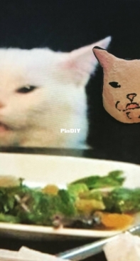 Мемный кот-брошь. Полимерная глина   /  momento cat.Polymer clay.