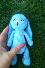 Bunny