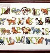 Cat Alphabet