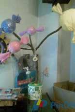 candy tree