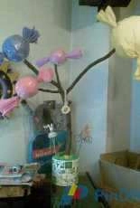 candy tree