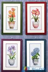 Oh! Nice Day Design Number 196, Design Number 197 Potted flower series 1, 2  Iris, Tulip, Hydrangea, Amaryllis  PCS
