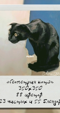 Siberia Stitch - Geometry of the cat