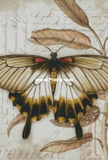Chimera - Butterfly Vintage 3 by Jane Shasky