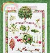 Lanarte 34266 Plum study