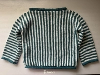 Knit my first sweater!
