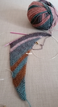 Easy Shawl by Àngels Bergé-Spanish -Free