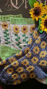 Field of Sunflowers sock set by Stone Knits