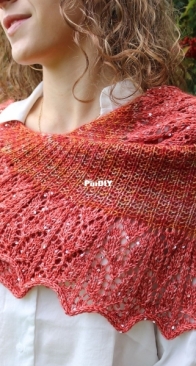 Rosaura Shawl by Cris Dvic - Updated