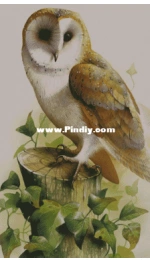 String Theory Inc - Barn Owl by David Finney XSD