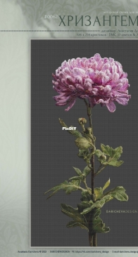 Daricheva Design - 0062 - Chrysanthemum by Anastasia Daricheva XSD
