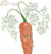 mr carrot