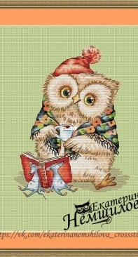 Wise Owl by Ekaterina Nemshilova