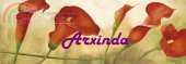 Arxinda Callas Red