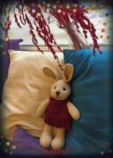 Rabbit!!!