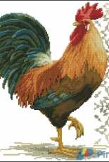 Jacky Lonen - Rooster