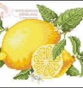 DMC Lemons