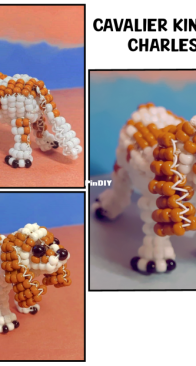 King Charles Spaniel
