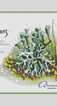 Arnautova Stitch - Lichens by Anastasia Arnautova