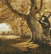 Artecy Cross Stitch - Woodland