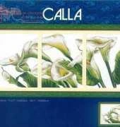 Dome 100822 Calla