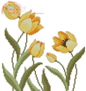 Spring II - RICO 78515.52