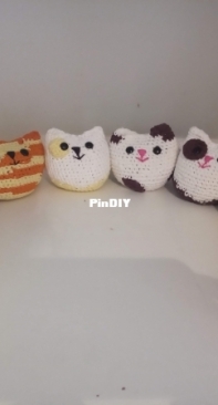 The cat gang