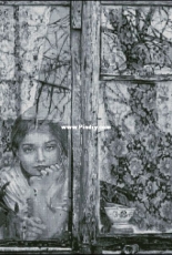 Bozenka 1001 - Girl in the window