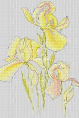 Natasha Mlodetski_Irises Watercorours
