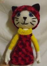 My cat