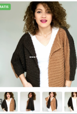 Hobbii Design - Catalina Ungureano - Chocolate And Caramel Jacket - Dutch - Free