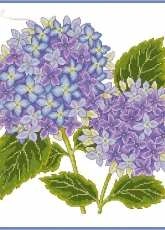 Floral Fancy Hydrangea Cushion by Amanda Gregory from The World of Cross Stitching TWOCS 229 XSD